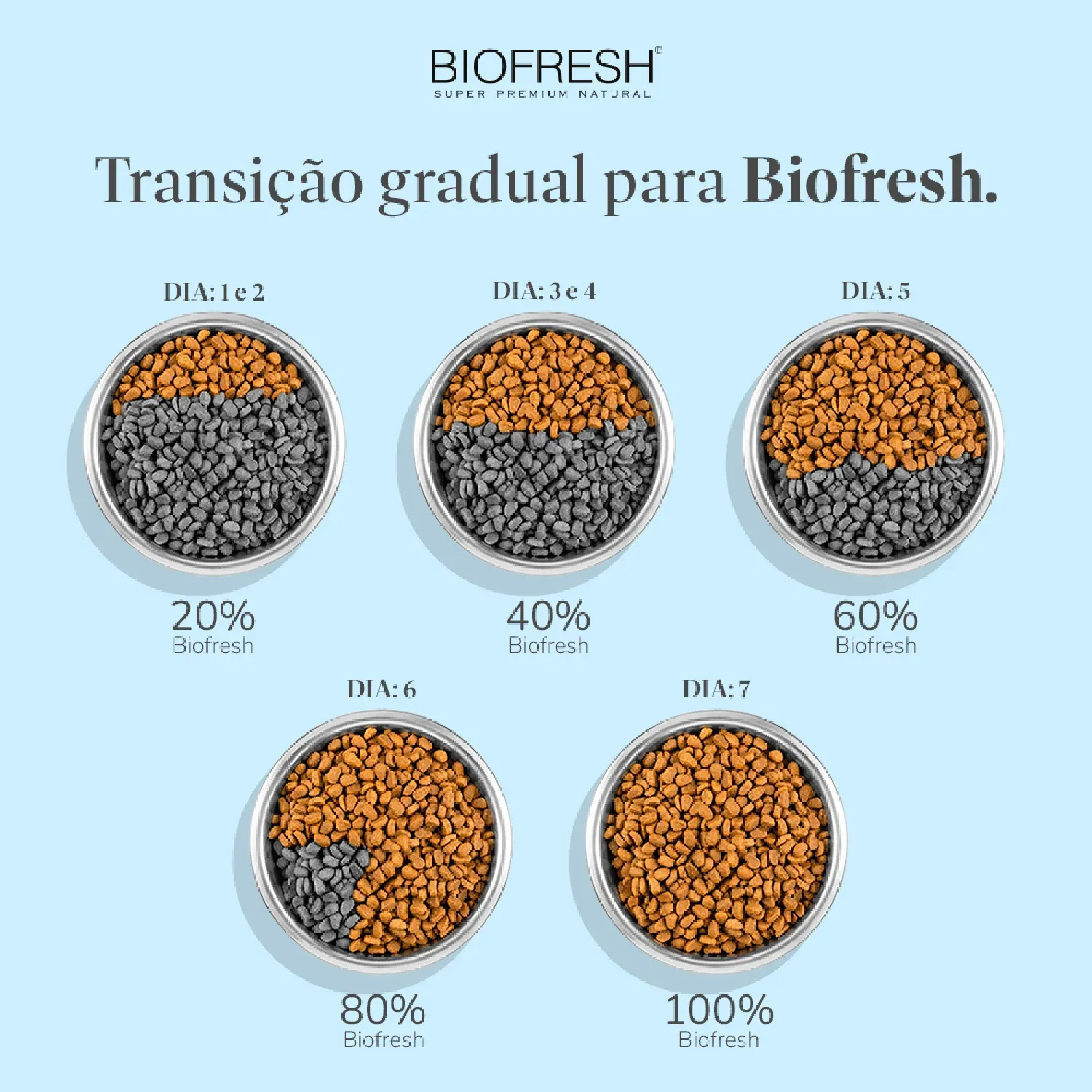 Racao Biofresh Gatos Adultos Frango quantidade diaria-07